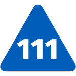 Bridgit Services - 111 NHS